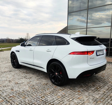 Jaguar F-Pace cena 139000 przebieg: 114000, rok produkcji 2017 z Staszów małe 781